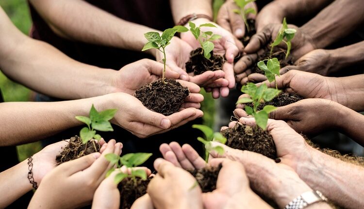 How to Promote Sustainability and Environmental Responsibility